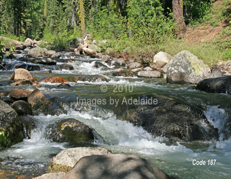 Herring Creek